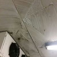 Evaporator cleaning &mdash; BSM Cleaning