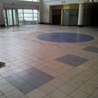 Infestation &mdash; BSM Cleaning