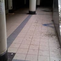 Infestation &mdash; BSM Cleaning