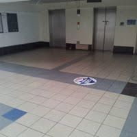 Infestation &mdash; BSM Cleaning