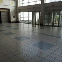 Infestation &mdash; BSM Cleaning